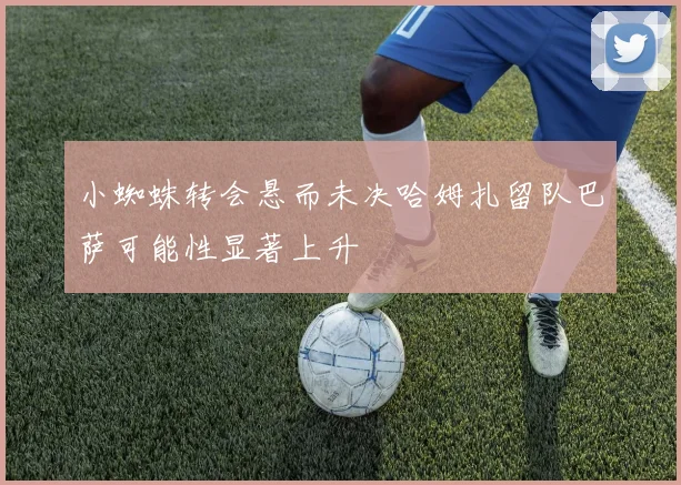 小蜘蛛转会悬而未决哈姆扎留队巴萨可能性显著上升