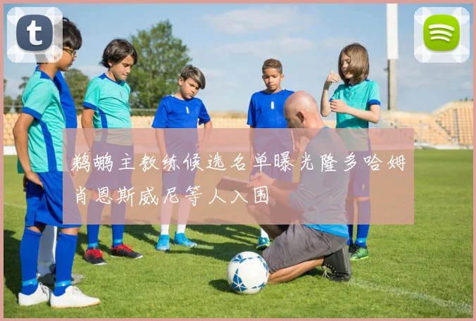 鹈鹕主教练候选名单曝光隆多哈姆肖恩斯威尼等人入围