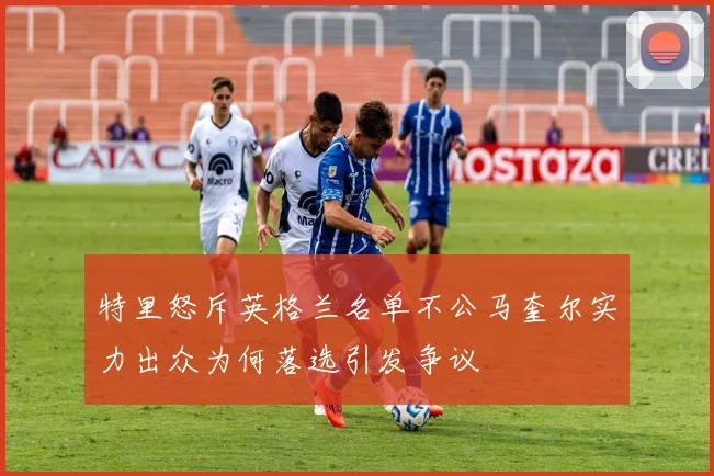 特里怒斥英格兰名单不公马奎尔实力出众为何落选引发争议